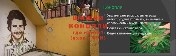 твердый Магас
