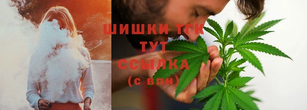 крисы Алагир