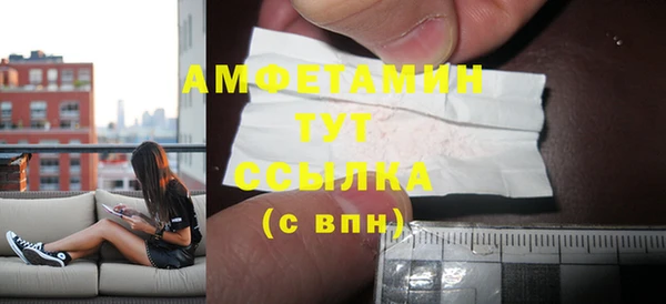 индика Алапаевск