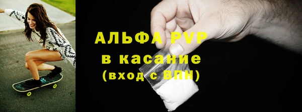 твердый Магас