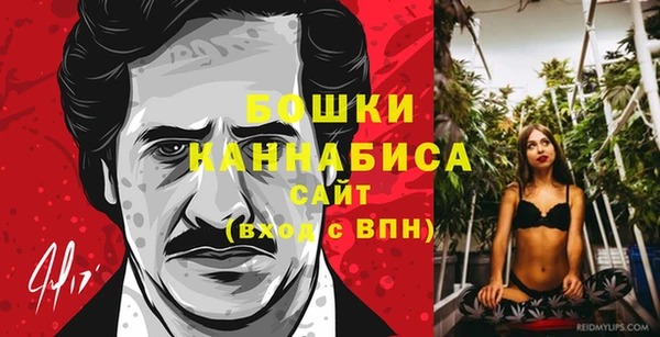 твердый Магас