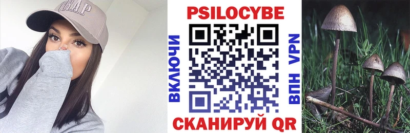 Галлюциногенные грибы GOLDEN TEACHER  наркота  MEGA маркетплейс  Чердынь 